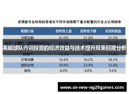 英超球队青训投资的经济效益与技术提升双重回报分析 英超球队青训投资的经济效益与技术提升双重回报分析