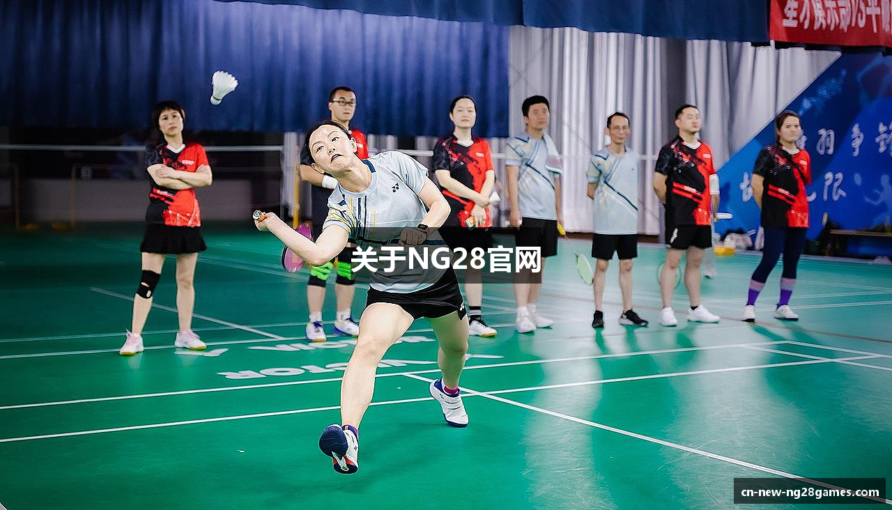 关于NG28官网